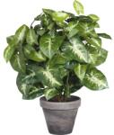 Mica Plantă artificială Syngonium H 35 cm verde (966057)