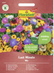 FloraSelf Select Semințe flori FloraSelf Select amestec flori last minute (28750)