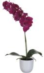 Mica Floare artificială orhidee MICA H 60 cm violet (949626)