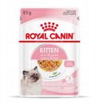 Royal Canin Cat ösztönös cica 12 x 85 g