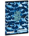 Ars Una Ars Una: Lord of the Deep cápás 3. osztályos vonalas füzet A/5 (53603371) - innotechshop