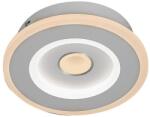 Rábalux 6959 LED mennyezeti lámpa Taneli 1x12W | 880lm | 3000-6000K - állítható színhőmérséklet, fehér