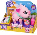 Moose Малките живи домашни любимци: Малкото прасенце Пинки (llp026366)