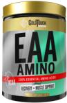 GoldTouch Nutrition EAA Amino [300 грама] Синя боровинка