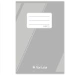 Fortuna Szótárfüzet FORTUNA Basic A/5 32 lapos 31-32 (01.08256) - tonerpiac
