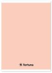 Fortuna Füzet vonalas FORTUNA Monocolor A/5 32 lapos 21-32 pasztell barack (01.02087) - tonerpiac