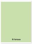 Fortuna Füzet vonalas FORTUNA Monocolor A/5 32 lapos 21-32 pasztell zöld (01.02088) - tonerpiac - 193 Ft