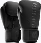 Hayabusa Mănuși de box Hayabusa Mayweather Champ black