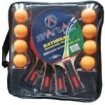 SPARTAN Set 4 palete+ 8 mingi Spartan (318SP)