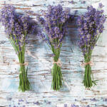 POL-MAK Levendula Three Bunches szalvéta 20 db-os 33x33 cm (PKK022171)