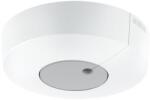 STEINEL Senzor de lumină Steinel 057428 DUAL-R DALI2 alb dreptunghiular (ST57428)