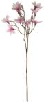 4-Home Ramură de magnolie purpurie 70 cm înălțime. 9flori și muguri