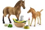 Schleich Horse Club Sarah és kis állatai ápoló szettel figura készlet