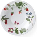 Kähler Farfurie pentru supă HAMMERSHOI SUMMER - SUMMER BERRIES 21 cm, alb, porțelan, Kähler (KHL693335)