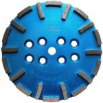 CRIANO Disc cu segmenti diamantati pt. slefuire pardoseli - segment fin - Albastru - 250 mm - prindere 19mm - DXDH. 8500.250. 63 (DXDH.8500.250.63)