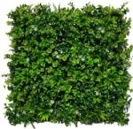  Dekorációs panel műnövény fal Sedum White Flower 100x100cm
