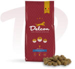 Delcon Regular Plus Fish Lazac Hypoallergén Prémium kutyatáp 12 kg (110612)