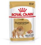 Royal Canin Pomeranian Adult 12x85 g