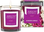 Areon Ароматна свещ Areon Classic - Lilac, 120 g (CR07_G01)