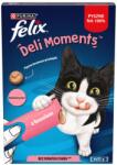 FELIX Deli Moments Snacksuri cremoase pentru pisici cu somon 4x10g