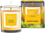 Areon Ароматна свещ Areon Classic - Dolce Viaggio, 120 g (CR04_G01)