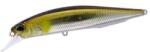 Duo Realis Jerkbait 100SP 14.5gr DRA3050 Half Mirror Ayu Wobbler