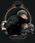 Zuty Picturi pe numere Portretul unui bot (Fantastic Beasts) (<![CDATA[M10-040-050-601316]]>) Carte de colorat