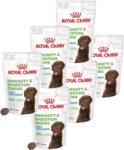 Royal Canin Royal Canin Puppy Immunitás és Emésztés Rágó 6x100g