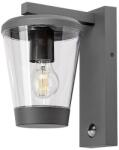 Rábalux Rabalux 7267 kültéri fali lámpa mozgásérzékelővel Savano 1x40W | E27 | IP44 - antracit