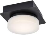 Rábalux Rabalux 98075001 LED mennyezetre szerelhető lámpa Attichus | 5W integrált LED forrás | 670lm | 4000K
