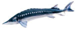 EnergoTeam Pillow The Monster European Sturgeon 200cm (e-74175389)