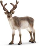 Schleich Schleich: Rénszarvas figura (14837) (SLH14837)