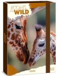 Ars Una Ars Una: Icons of the Wild Giraffes A/4 füzetbox (50855056)