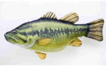 EnergoTeam Pillow The Monster Largemouth Bass 160cm (e-74780569)
