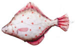EnergoTeam Pillow The Flounder 40cm (e-74175099)