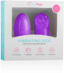 EasyToys - 7 ritmusú rádiós vibrációs tojás (lila)