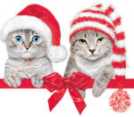 POL-MAK Cicás Christmas Hats szalvéta 20 db-os 33x33 cm PKK761712 (PKK761712)