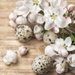 POL-MAK Húsvét Quail Eggs szalvéta 20 db-os 33x33 cm PKK049505 (PKK049505)