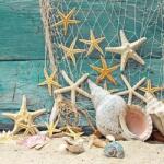 Ambiente Starfish papírszalvéta 33x33cm, 20db-os