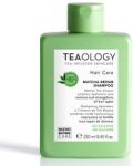 Teaology Ingrijire Par Matcha Repair Shampoo Sampon 250 ml