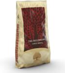 Essential Foods Beginning Large Breed 10 kg