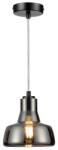 Reality Haga ChandelierE27X1 MAX40WIron+glassD16.5CM cable black, canopy black - REAL-334701-02 (REAL-334701-02)