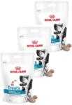 Royal Canin weterynaria Royal Canin Hypoallergenic Treats kutyakajak 3x230g