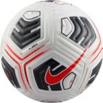 Nike Academy Plus 4