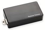 Seymour Duncan AHB-1n Blackouts Neck - Black Chrome