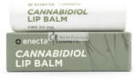 Enecta Kender Kivonat Ajkak Balzsam 50mg