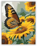  Narancssárga Fekete Pillangó Napraforgón - számfestő készlet
