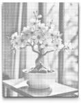  PontPöttyöző - Sakura bonsai az ablaknál Méret: 30x40cm, Keretezés: Kartonlemezen, Szín: Fekete