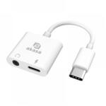 Akasa Type-C to 3.5mm Headphone Jack & Charger Adapter
