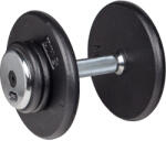 inSPORTline Kézisúlyzó - 15 kg